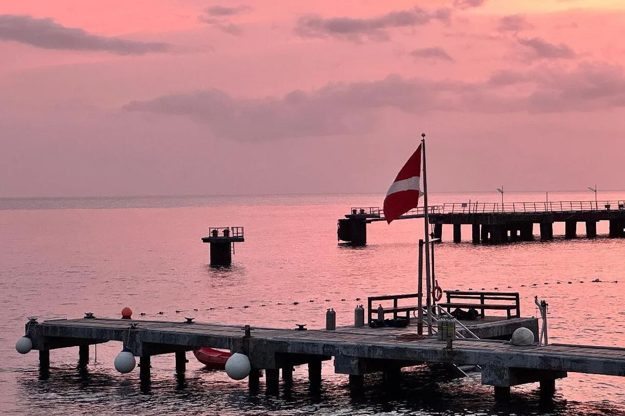 Fort Young Hotel &amp; Dive Resort — ภาพห้องพักและบรรยากาศ