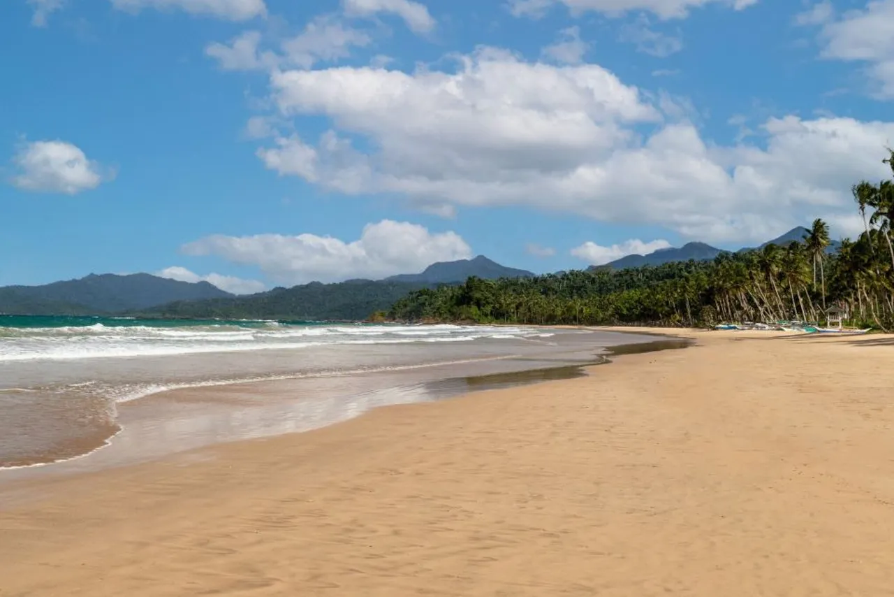 Four Points by Sheraton Palawan Puerto Princesa — rooms and atmosphere