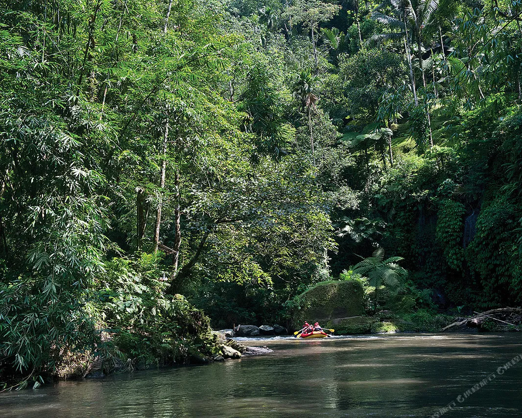 Four Seasons Resort Bali at Sayan — ภาพห้องพักและบรรยากาศ