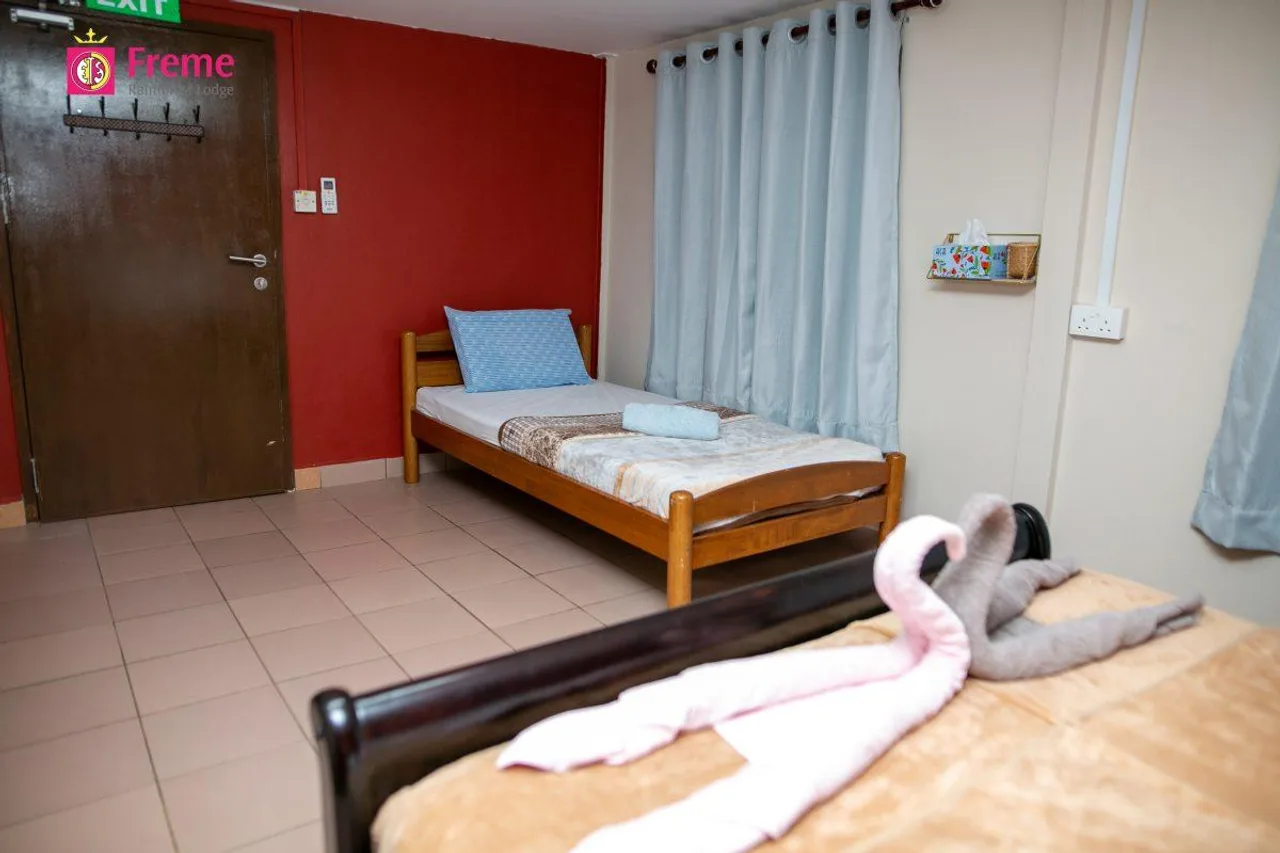 Freme Rainforest Lodge — ภาพห้องพักและบรรยากาศ