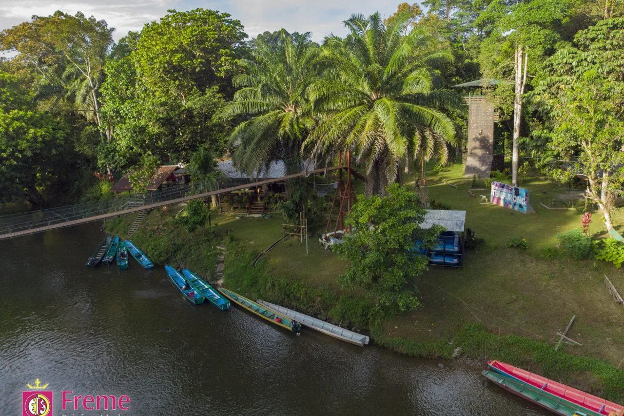 Freme Rainforest Lodge — ภาพห้องพักและบรรยากาศ
