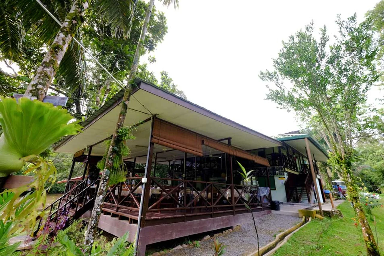 Freme Rainforest Lodge — ภาพห้องพักและบรรยากาศ