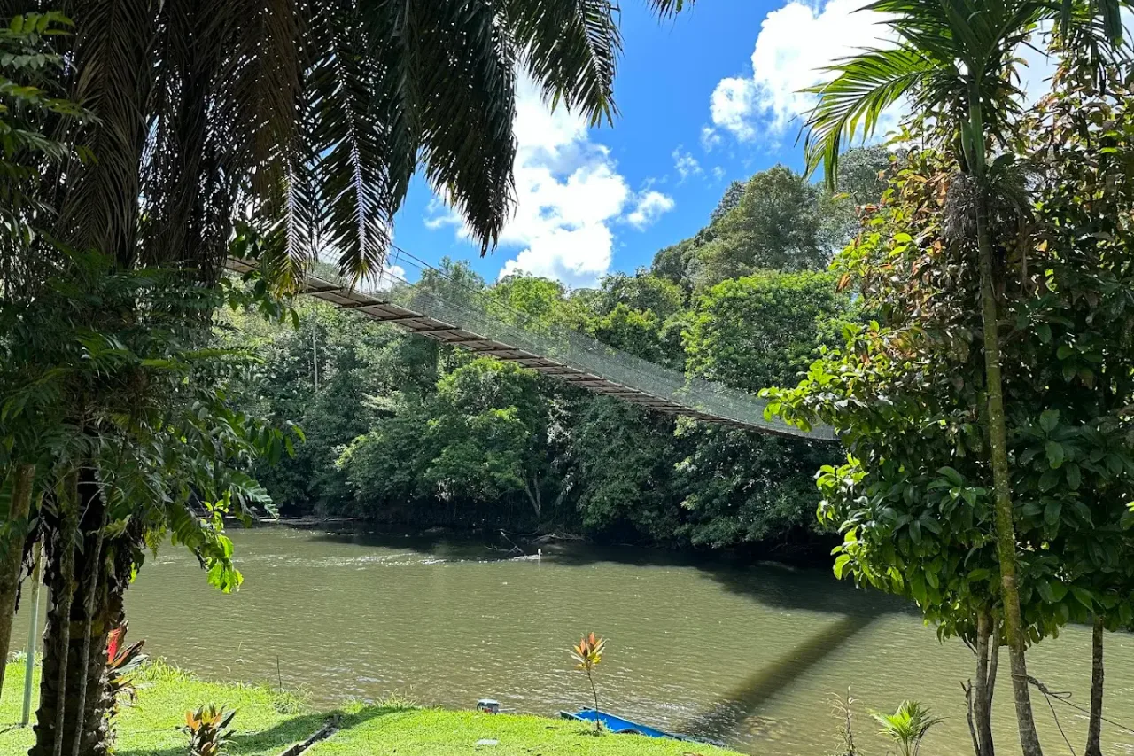 Freme Rainforest Lodge — ภาพห้องพักและบรรยากาศ