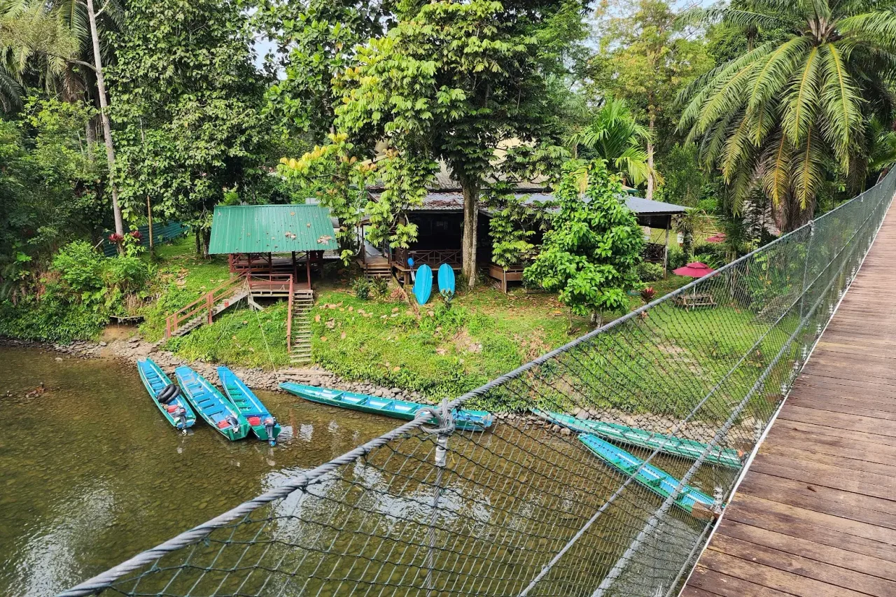 Freme Rainforest Lodge — ภาพห้องพักและบรรยากาศ