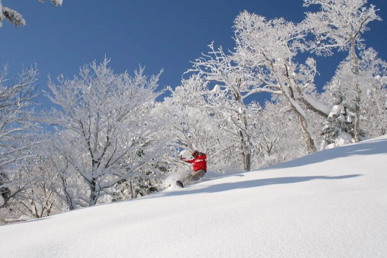 Furano Natulux Hotel — rooms and atmosphere