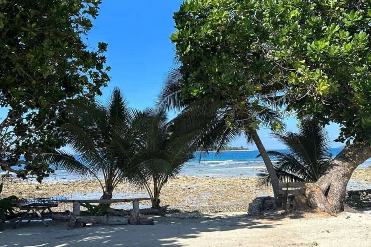 Garden Reef Bungalows — ภาพห้องพักและบรรยากาศ