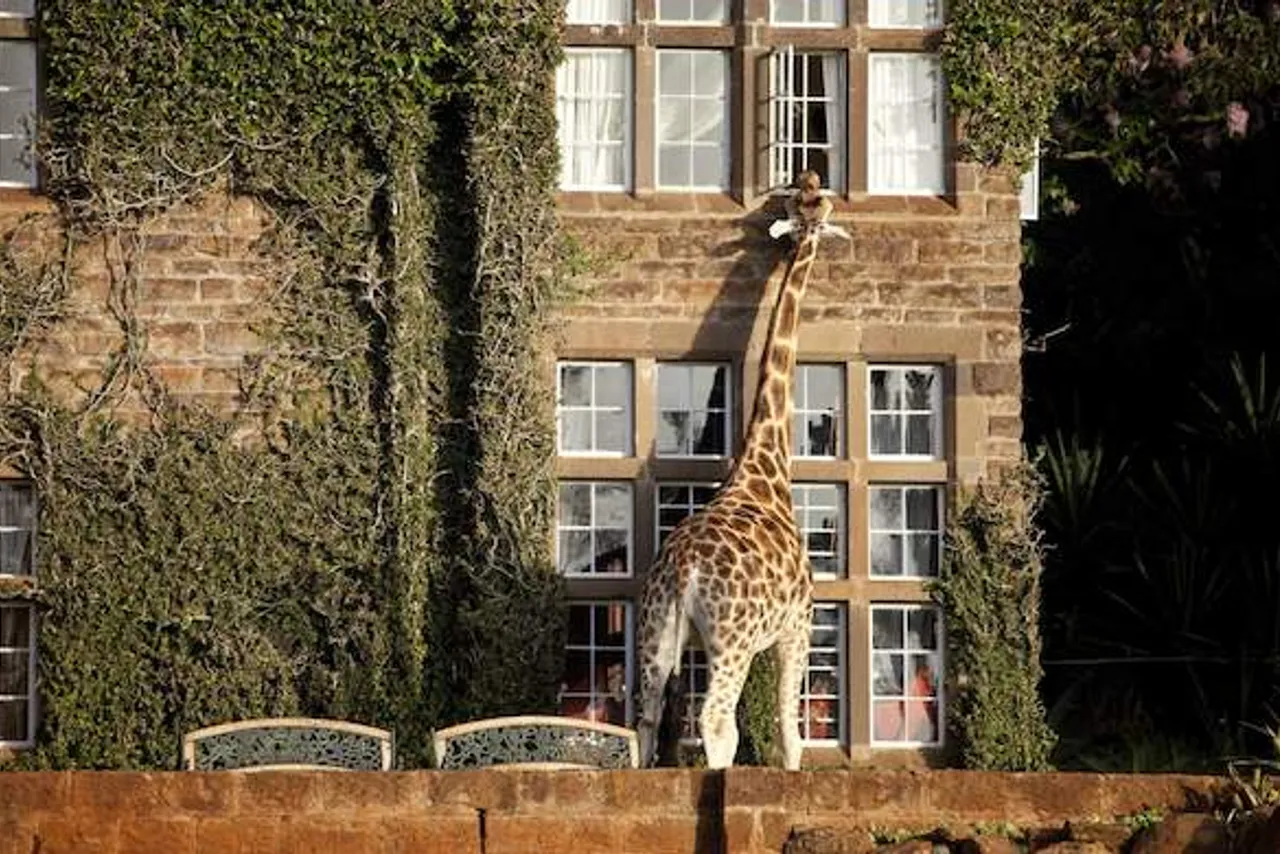 Giraffe Manor — rooms and atmosphere