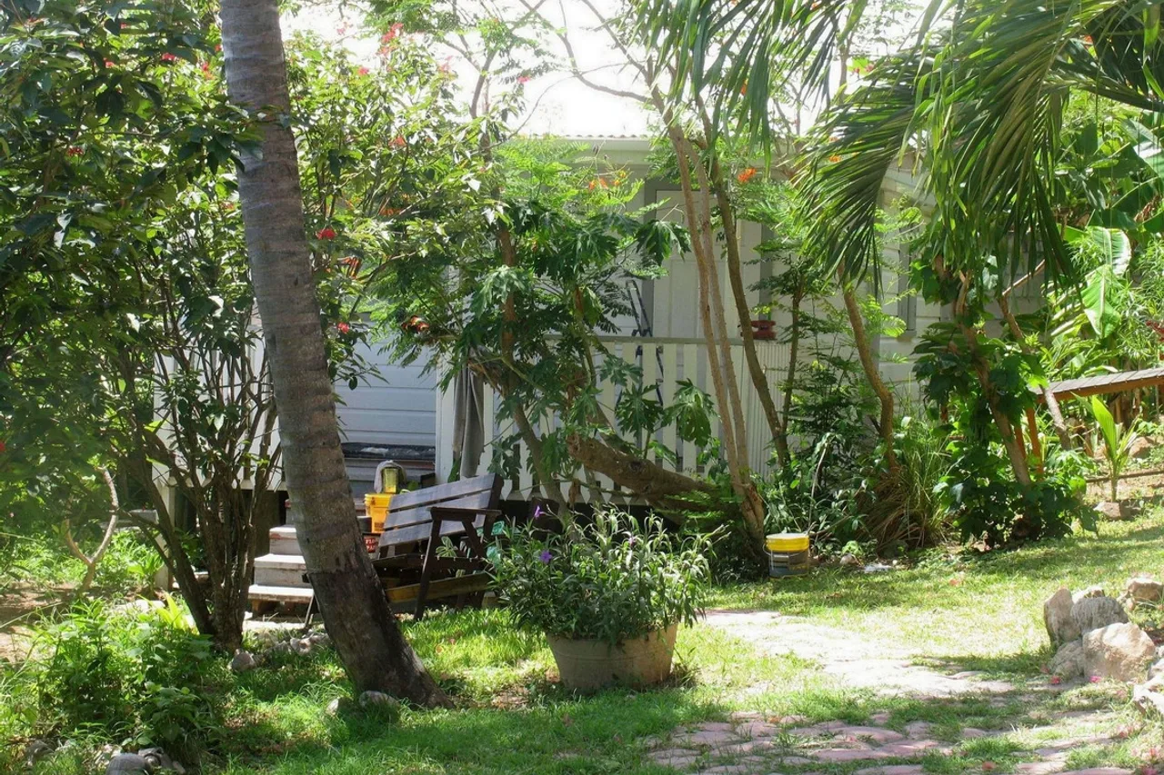 Green Roof Inn — ภาพห้องพักและบรรยากาศ