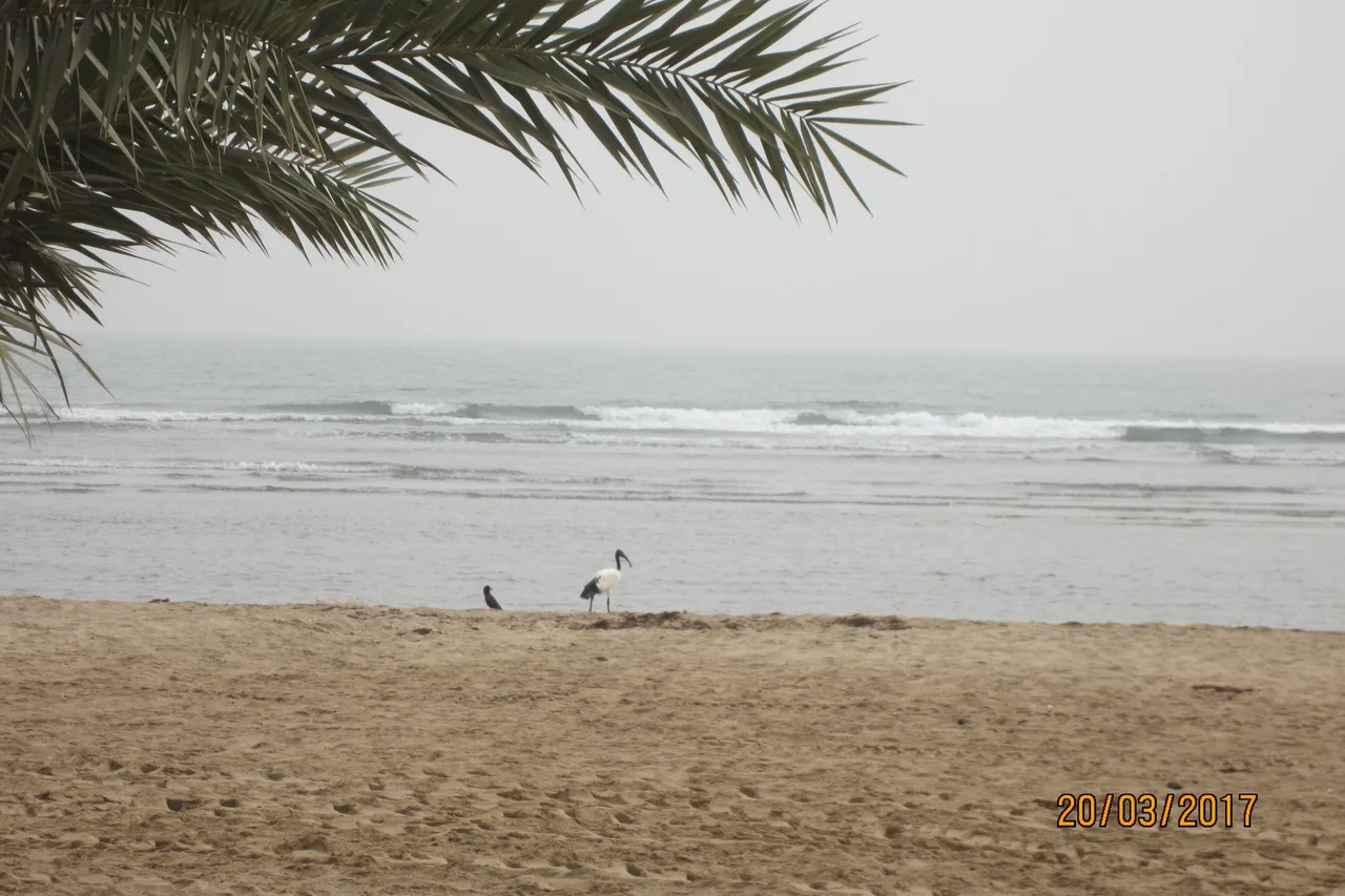 Gurgussum Beach Hotel — ภาพห้องพักและบรรยากาศ