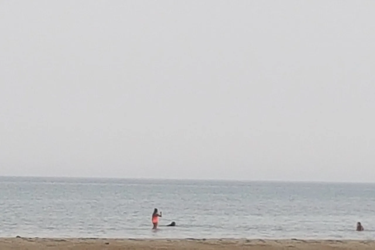 Gurgussum Beach Hotel — ภาพห้องพักและบรรยากาศ