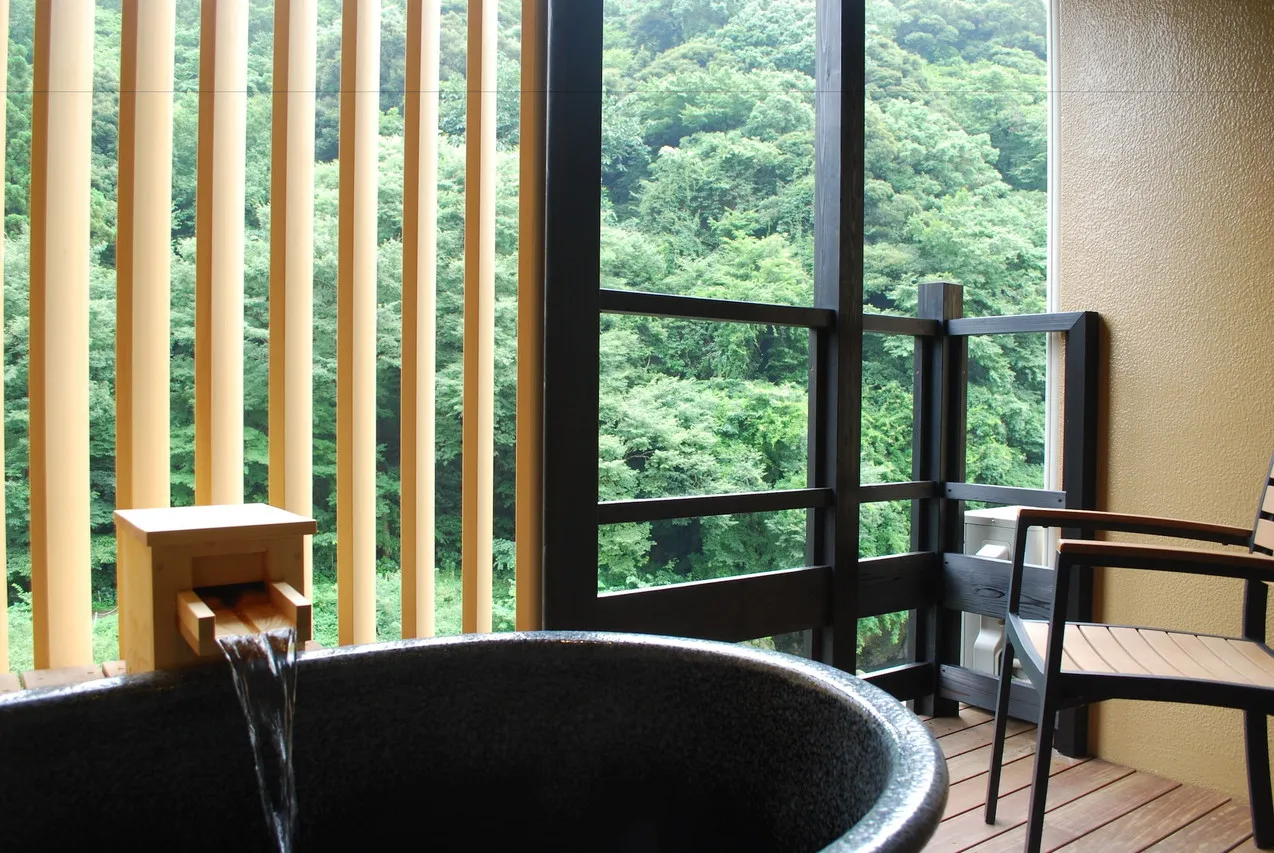 Hakone Suimeisou — rooms and atmosphere