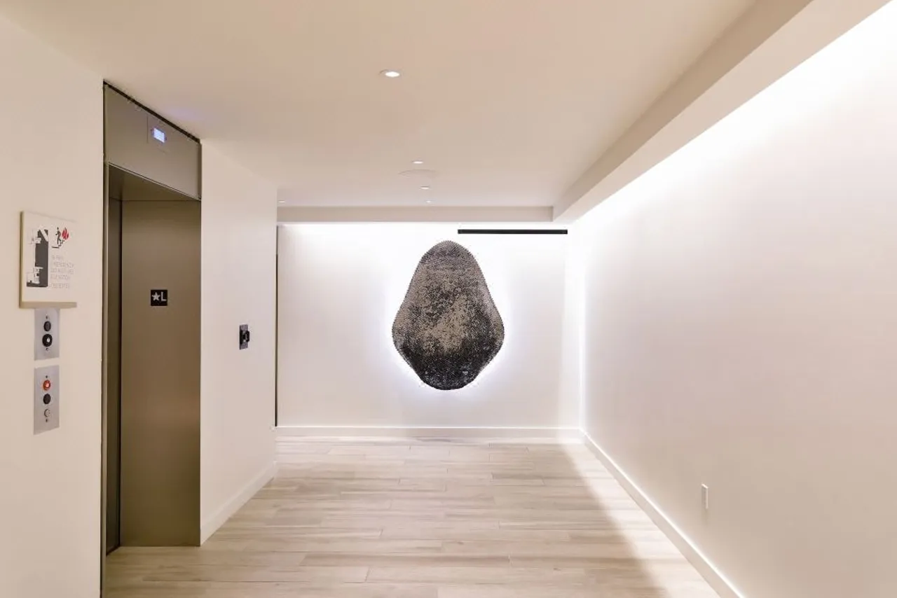 HALL Arts Hotel Dallas, Curio Collection by Hilton — ภาพห้องพักและบรรยากาศ