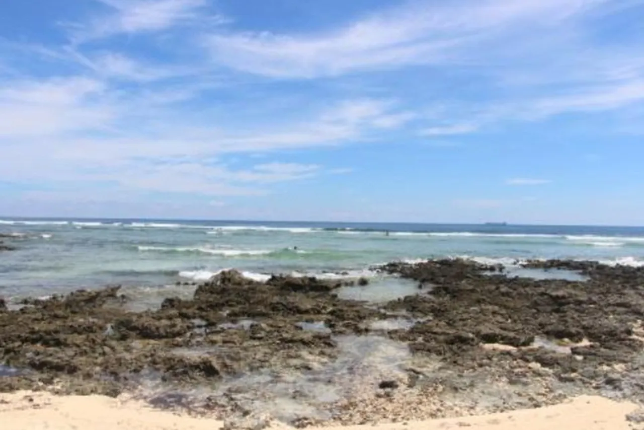 Harana Surf Resort — rooms and atmosphere