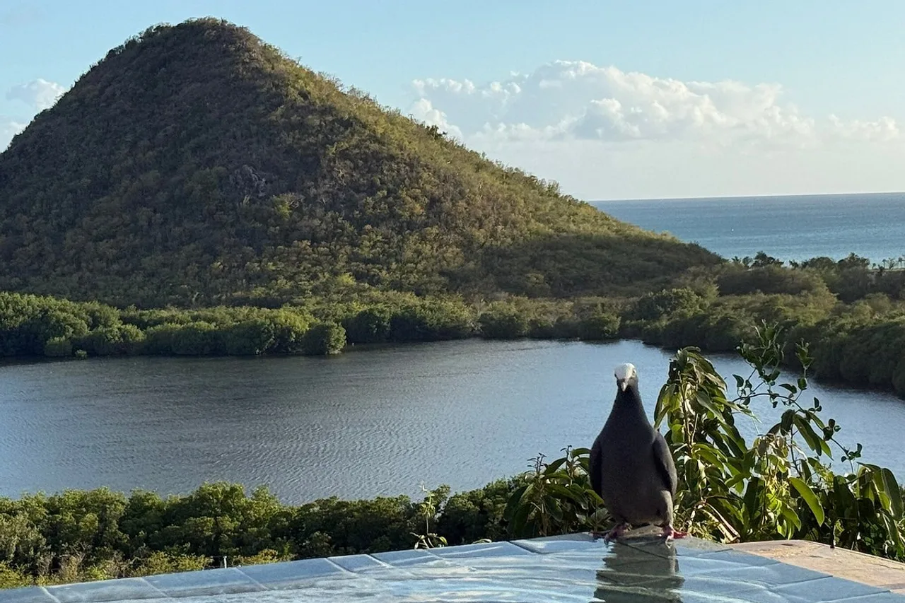 Hermitage Bay — ภาพห้องพักและบรรยากาศ