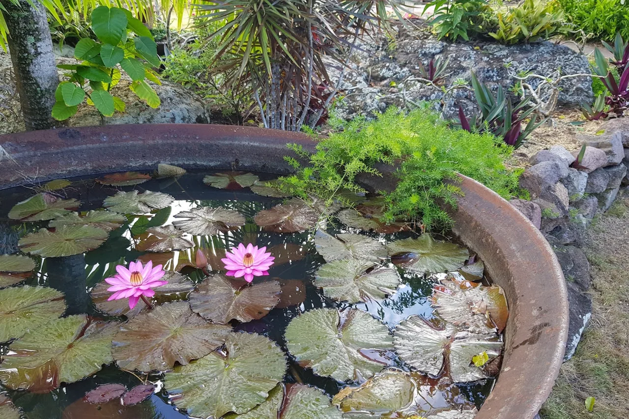 Hermitage Nevis — ภาพห้องพักและบรรยากาศ