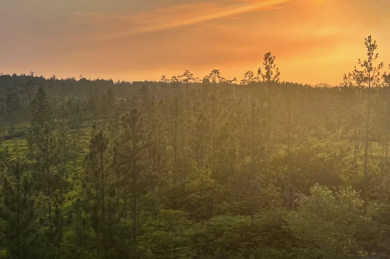 Hidden Valley Inn & Reserve — ภาพห้องพักและบรรยากาศ