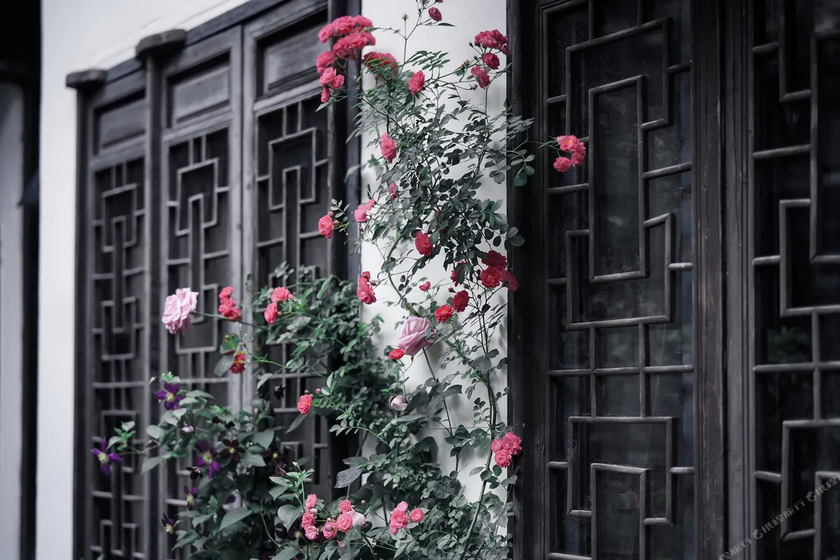 Hangzhou Hofang International Youth Hostel — rooms and atmosphere