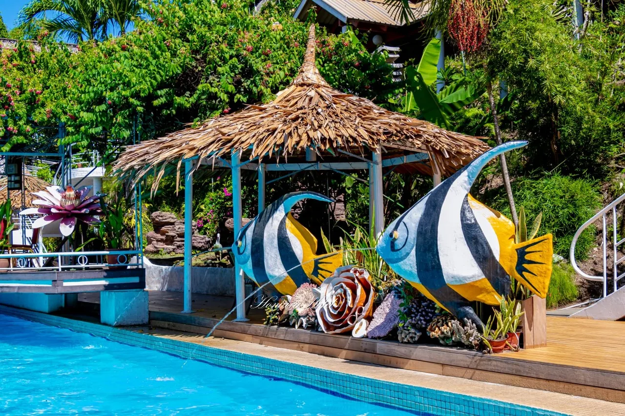 Honiara Hotel — ภาพห้องพักและบรรยากาศ
