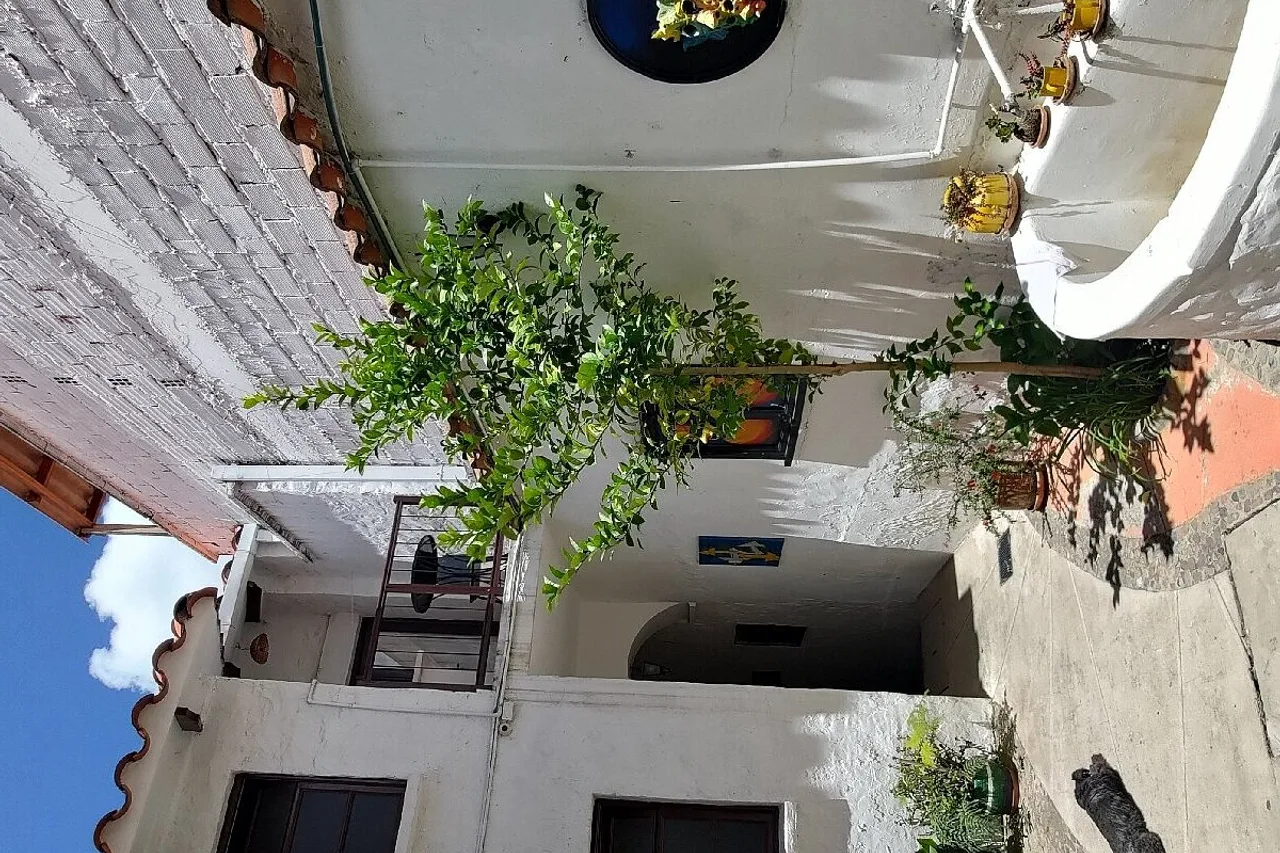 Hostal CasArte Takubamba — ภาพห้องพักและบรรยากาศ