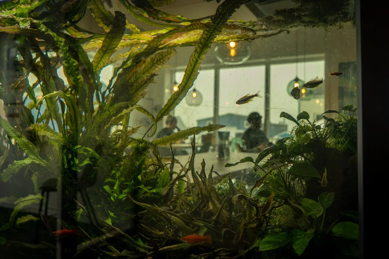 Hotel Aurora — ภาพห้องพักและบรรยากาศ