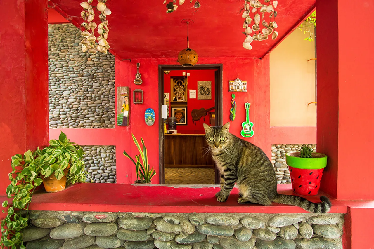 Hotel & Bar La Guitarra — ภาพห้องพักและบรรยากาศ