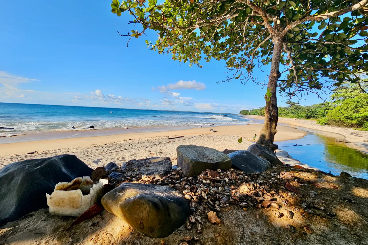 Hotel California Surf & Fishing Camp — ภาพห้องพักและบรรยากาศ