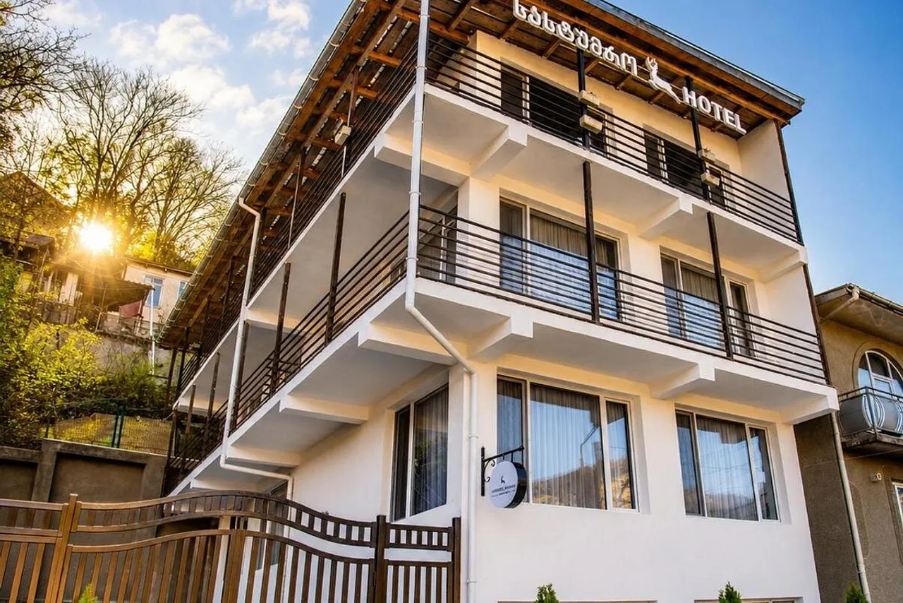 Hotel Caucasus Borjomi — โรงแรมในบอร์โจมิ