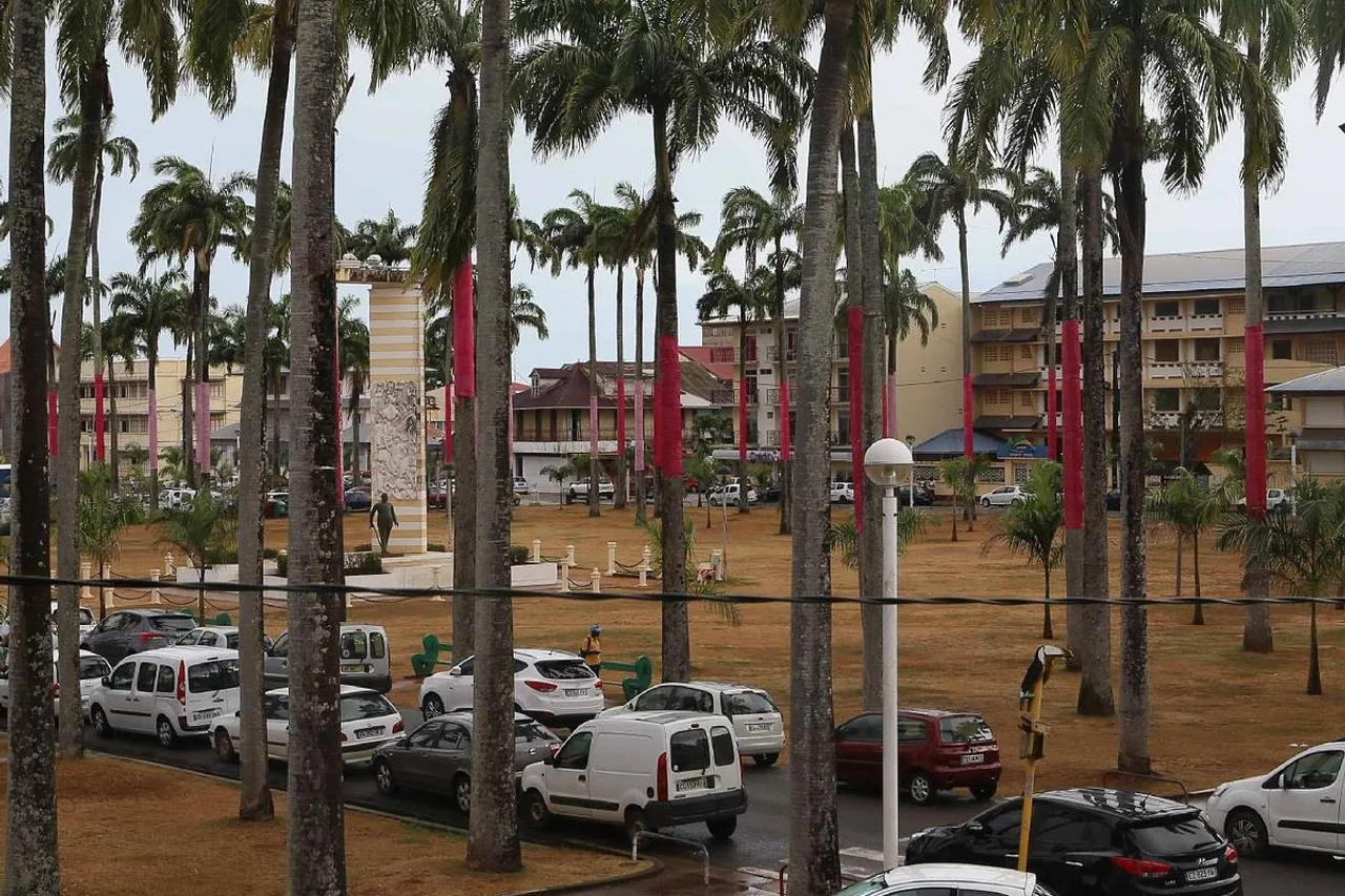Hotel des Palmistes — โรงแรมในกาแยน