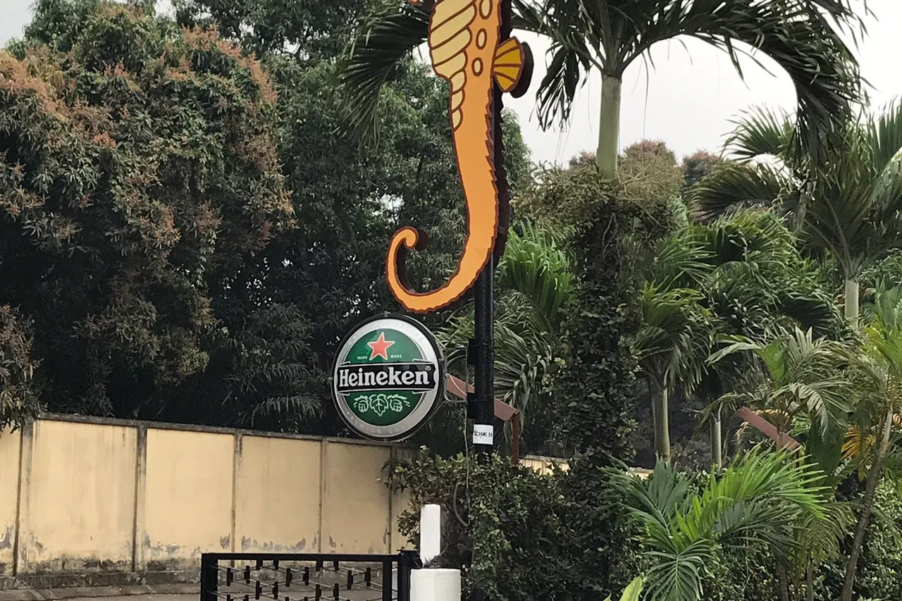 Hotel Hippocampe — ภาพห้องพักและบรรยากาศ