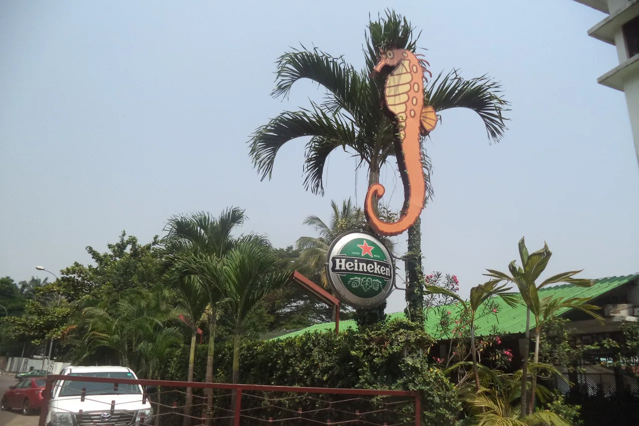 Hotel Hippocampe — ภาพห้องพักและบรรยากาศ