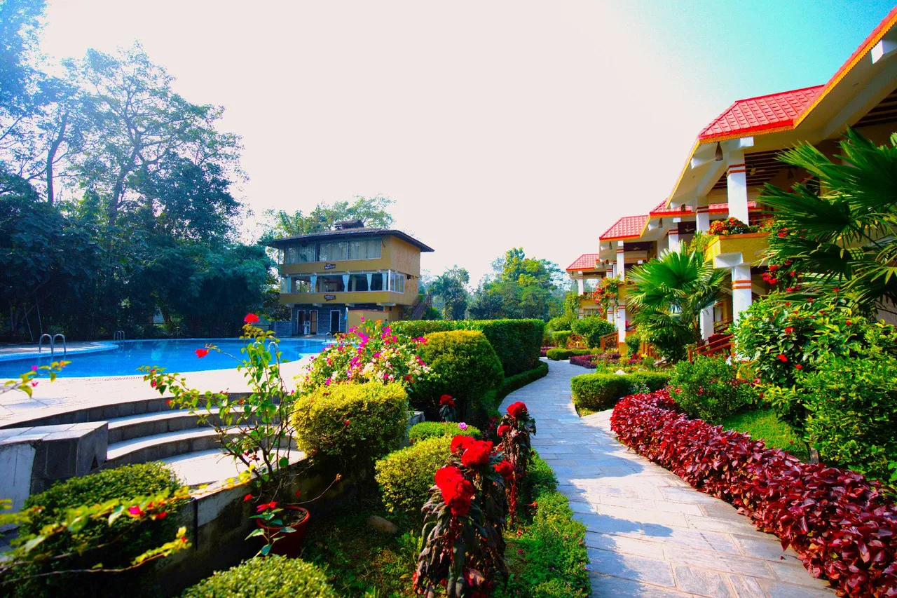 Hotel Jungle Crown — จิตวัน