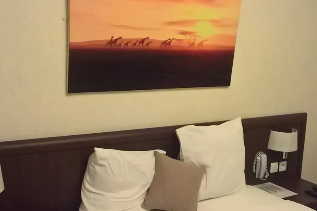 Hotel La Tchadienne (ex-Novotel) — ภาพห้องพักและบรรยากาศ