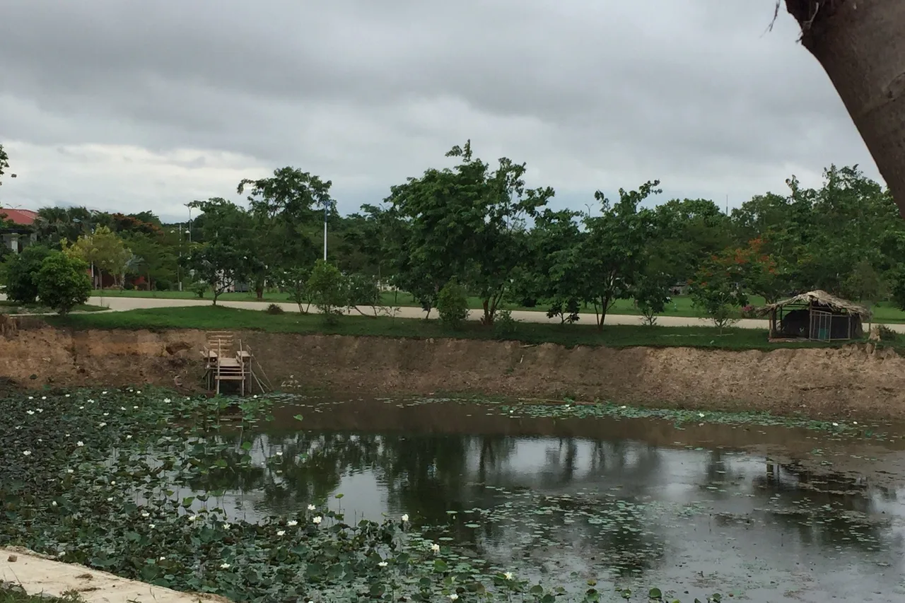 Hotel Max Nay Pyi Taw — ภาพห้องพักและบรรยากาศ