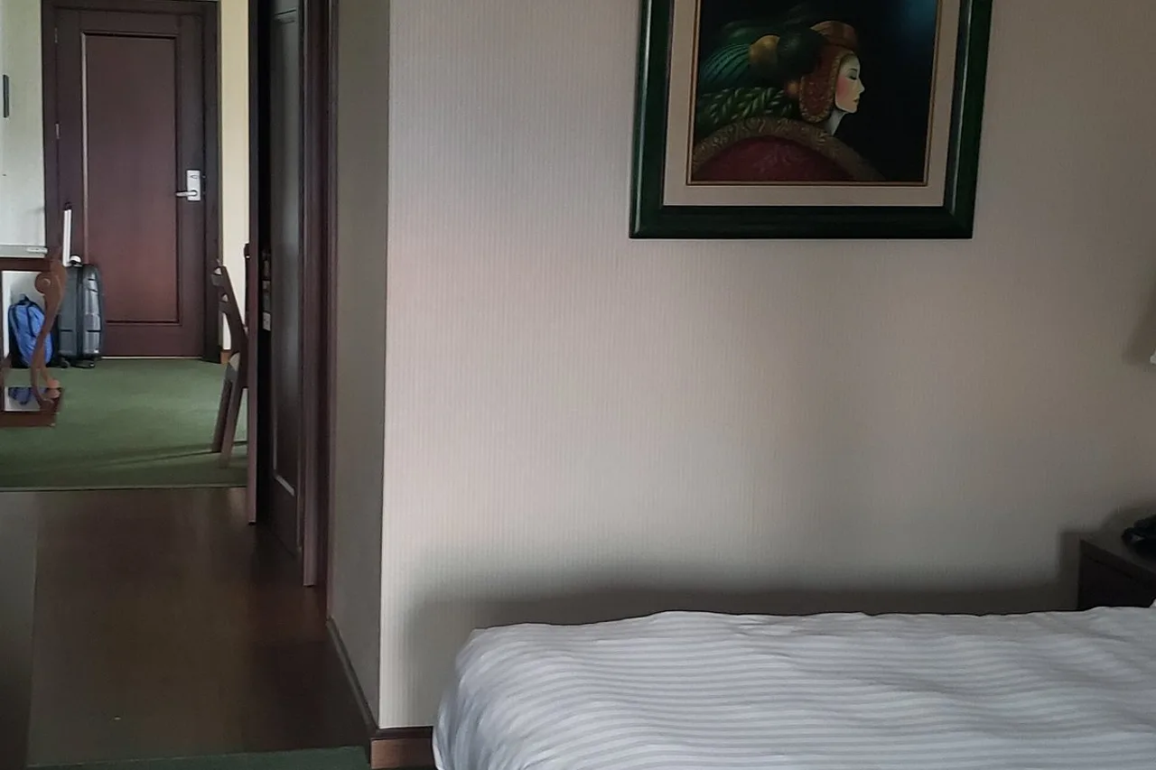 Hotel Plaza San Martín — ภาพห้องพักและบรรยากาศ