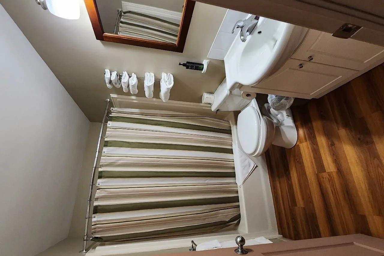 L'Hotel Robert — ภาพห้องพักและบรรยากาศ