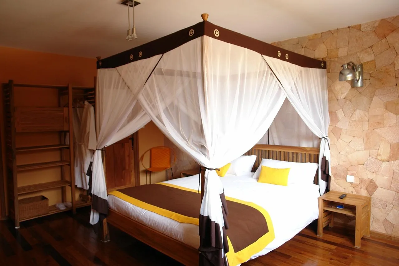 Hotel Sakamanga — ภาพห้องพักและบรรยากาศ