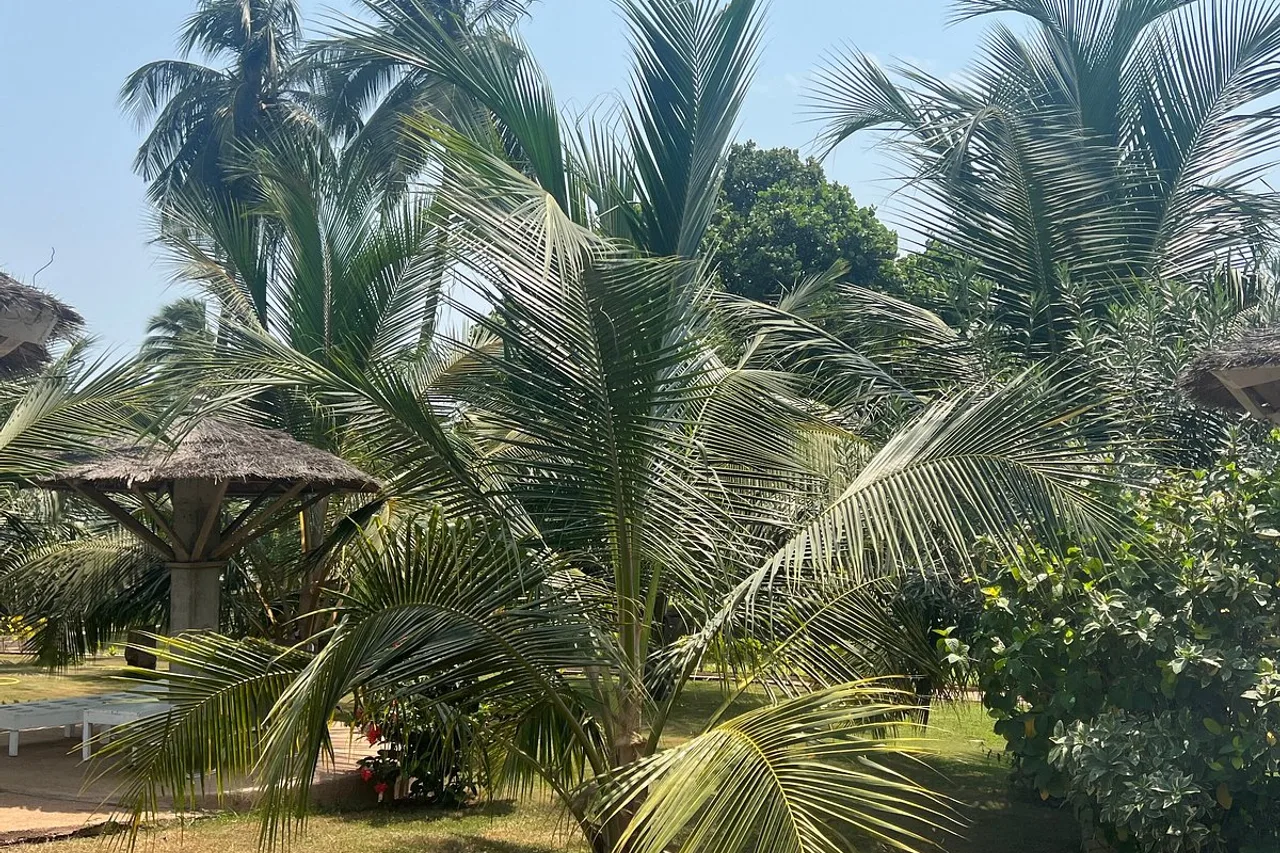 Hotel Sarakawa — ภาพห้องพักและบรรยากาศ