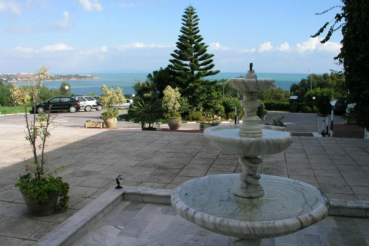 Hotel Sidi Bou Said — ภาพห้องพักและบรรยากาศ
