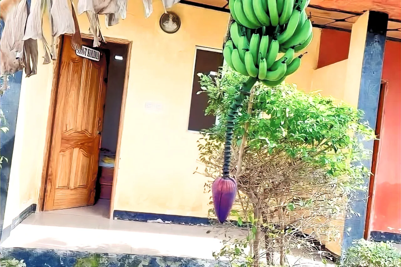 Hotel Tata — ภาพห้องพักและบรรยากาศ