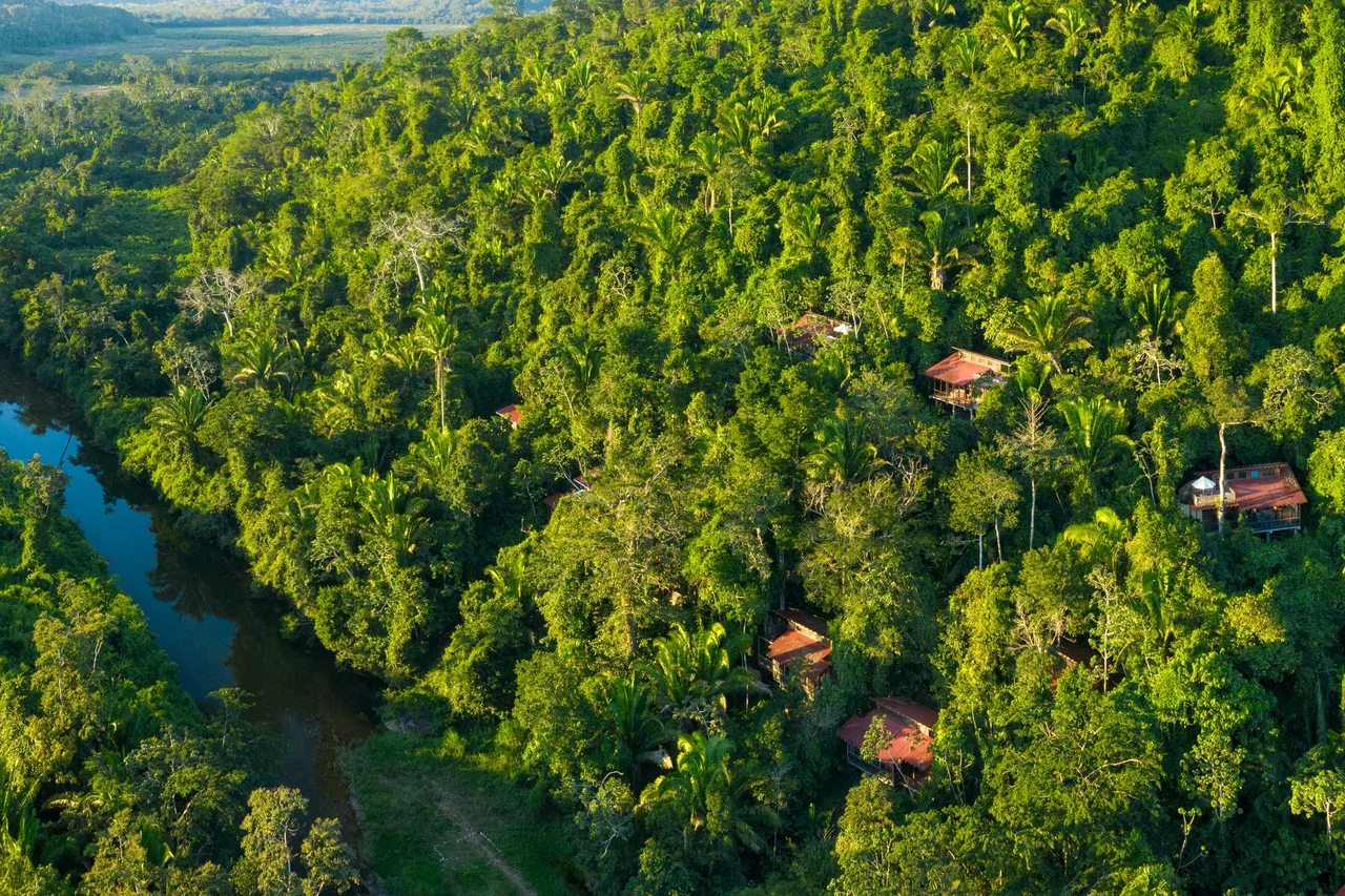 Ian Anderson's Caves Branch Jungle Lodge — rooms and atmosphere
