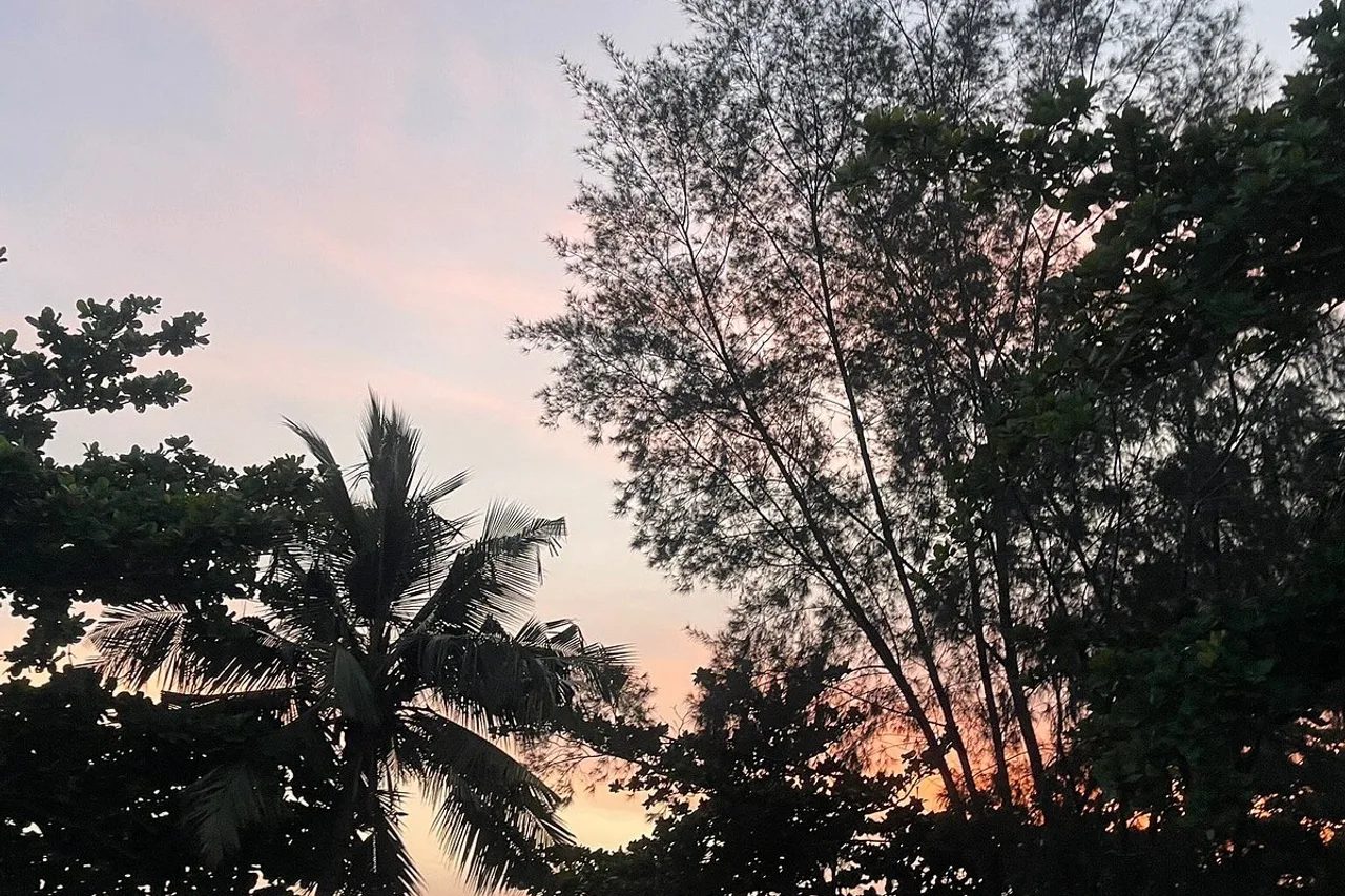 Ibis Cotonou — ภาพห้องพักและบรรยากาศ