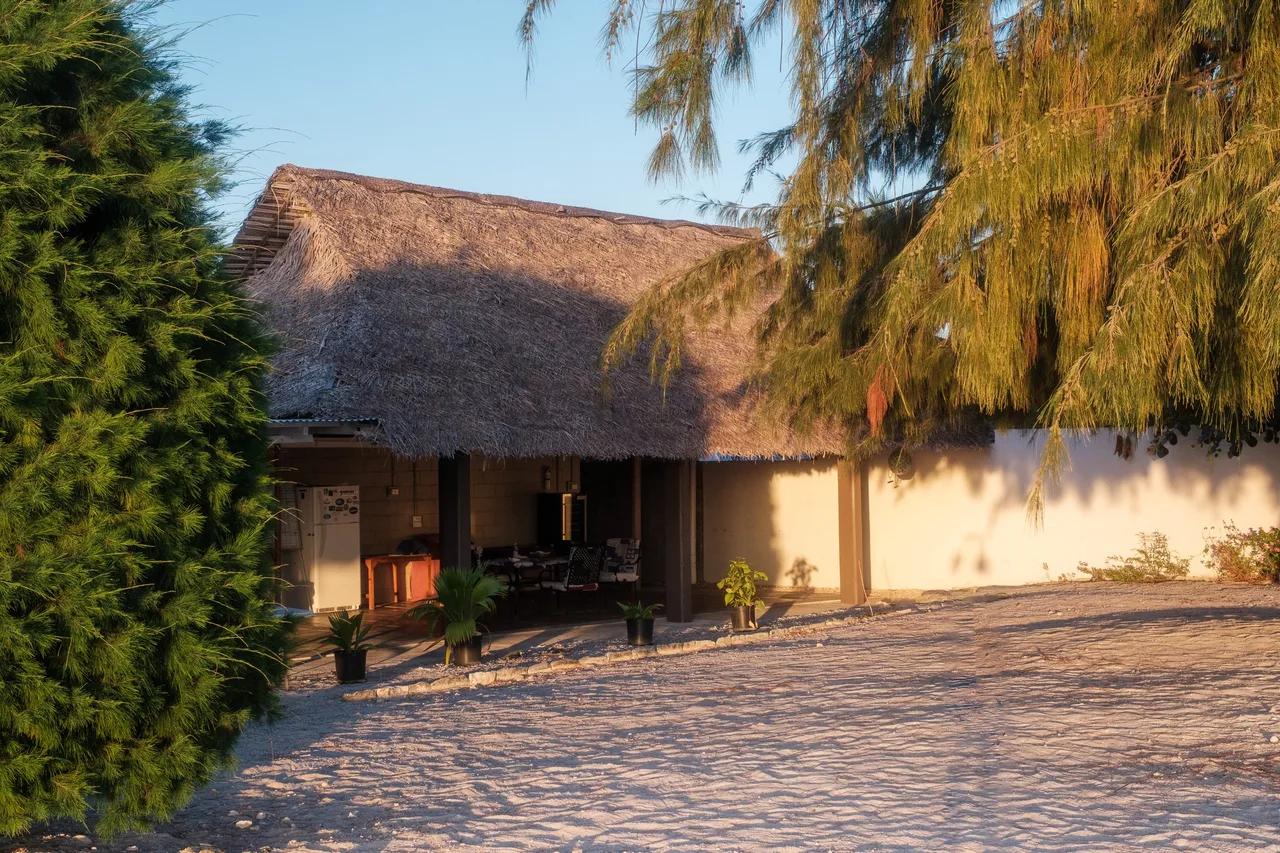 Ikari House — ภาพห้องพักและบรรยากาศ