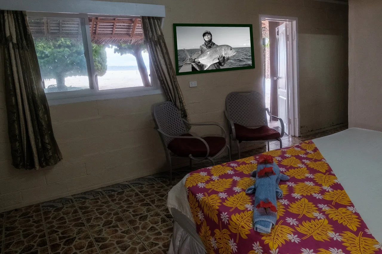 Ikari House — ภาพห้องพักและบรรยากาศ