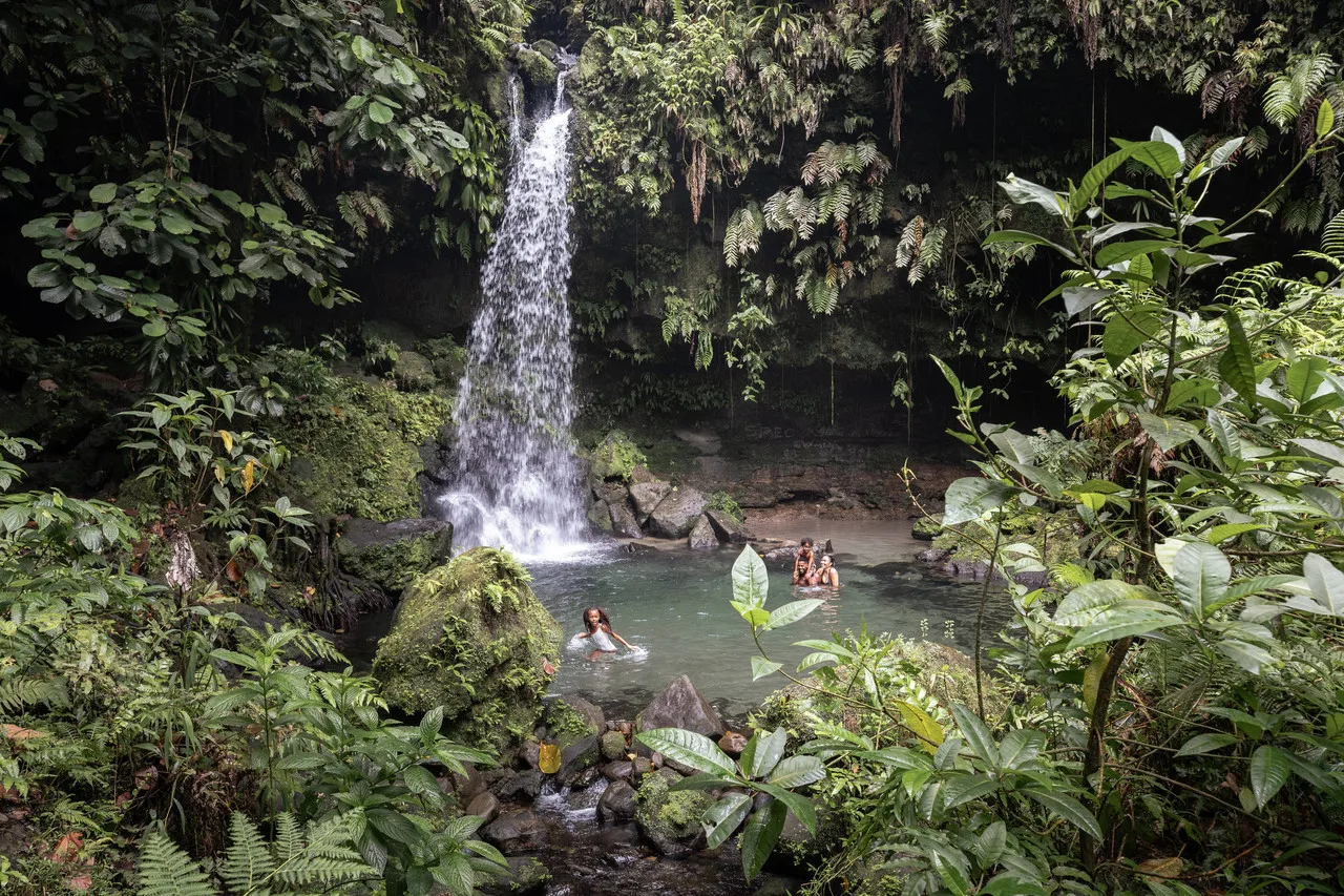 InterContinental Dominica Cabrits Resort & Spa — ภาพห้องพักและบรรยากาศ