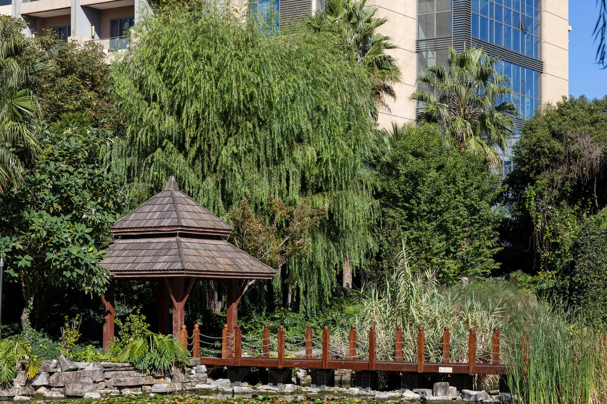 InterContinental Kunming — rooms and atmosphere