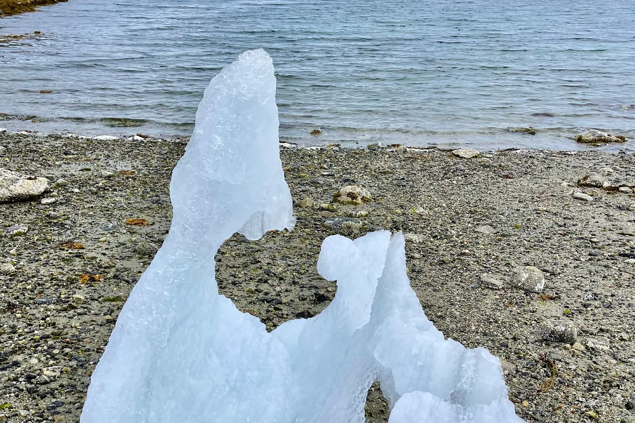 Inuk Hostels — ภาพห้องพักและบรรยากาศ