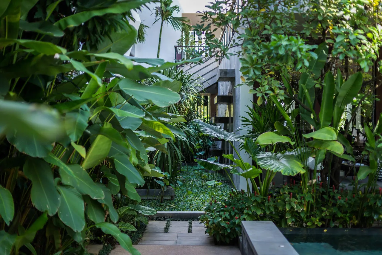 Jaya House River Park — rooms and atmosphere