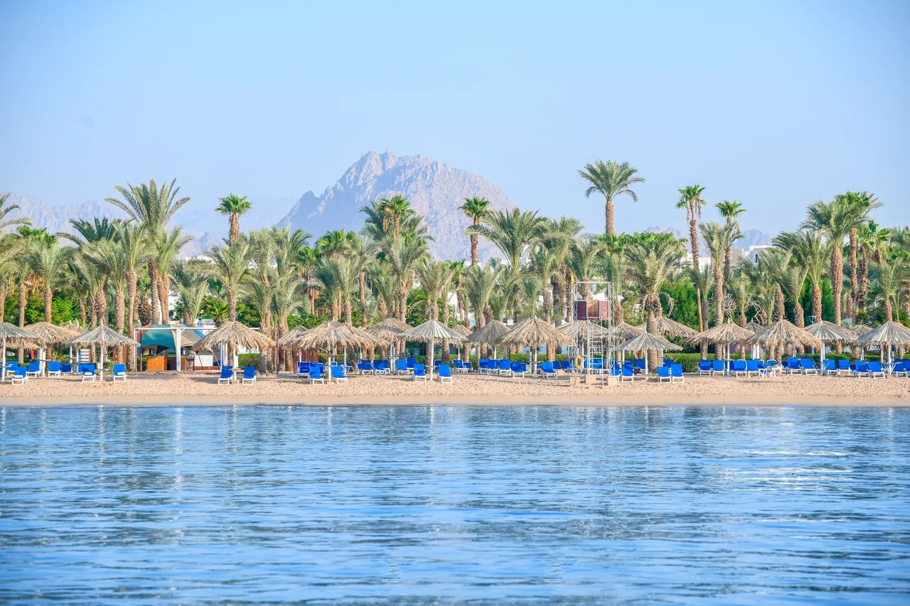 Jaz Fayrouz Resort — ภาพห้องพักและบรรยากาศ