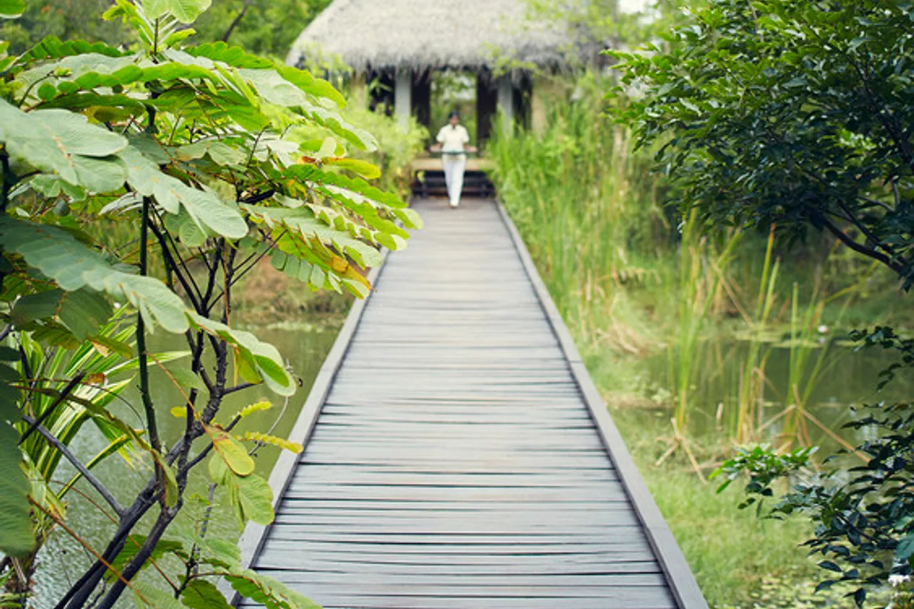 Jetwing Vil Uyana, A Luxury Reserve — ภาพห้องพักและบรรยากาศ