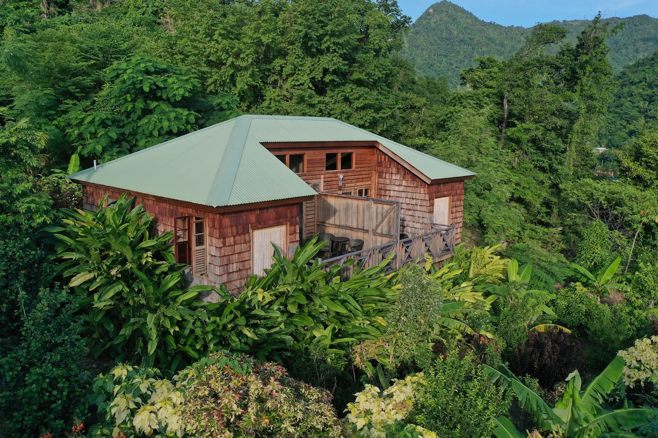 Jungle Bay Dominica — ภาพห้องพักและบรรยากาศ